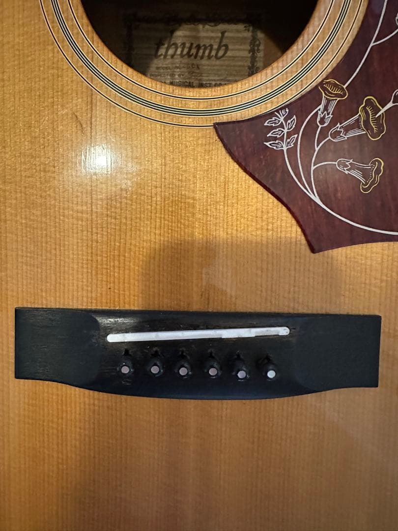 寺田楽器　thumb W250N サム　RITTER RCG700-D
