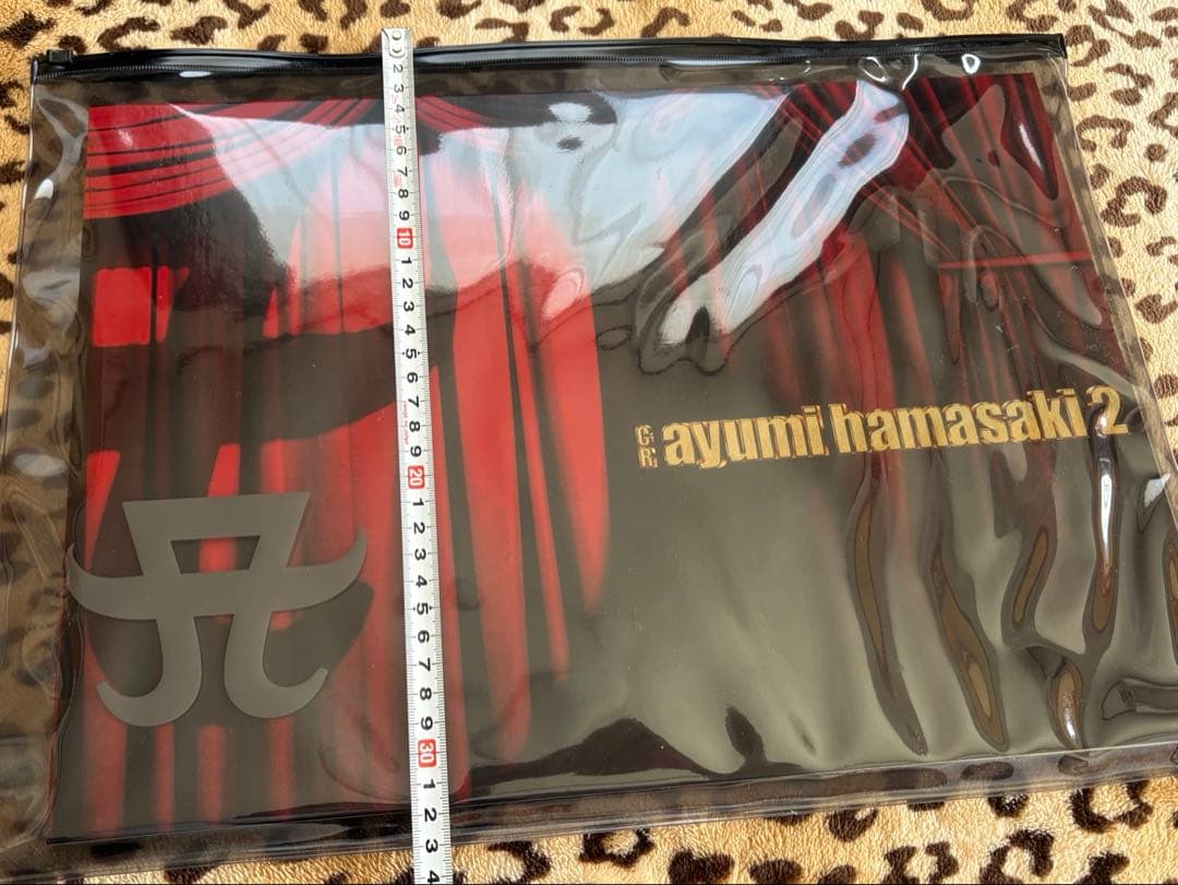 非売品❤︎浜崎あゆみ❤︎特大パンフレット・クリアケース付