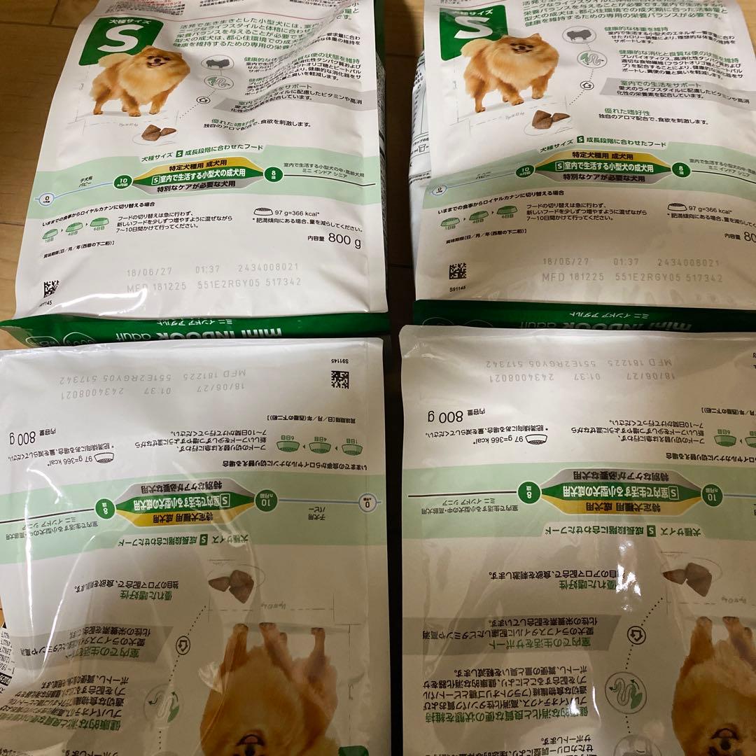  CANIN ミニインドアアダルト 800g