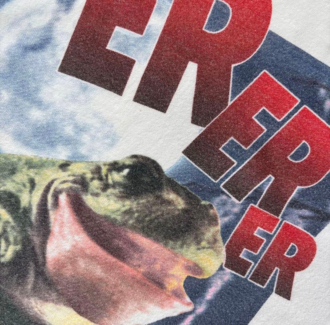 ⑤【1993】バドワイザー　budweiser フロッグ　frog