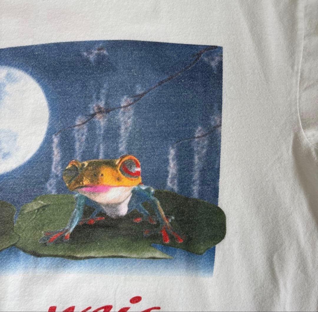 ⑤【1993】バドワイザー　budweiser フロッグ　frog