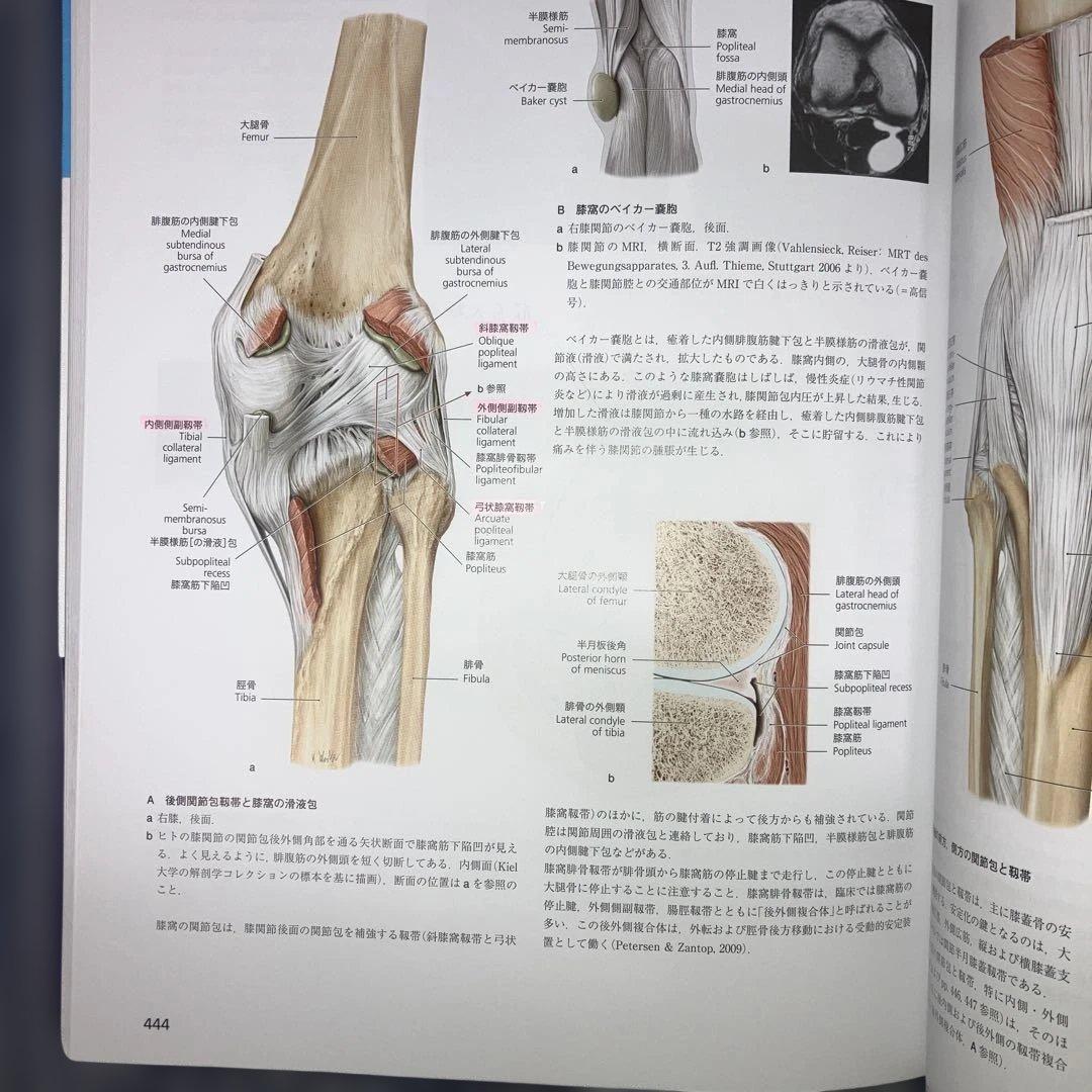 プロメテウス解剖学　　アトラス頭頸部/神経解剖解剖学総論/運動器系　　第3版2冊