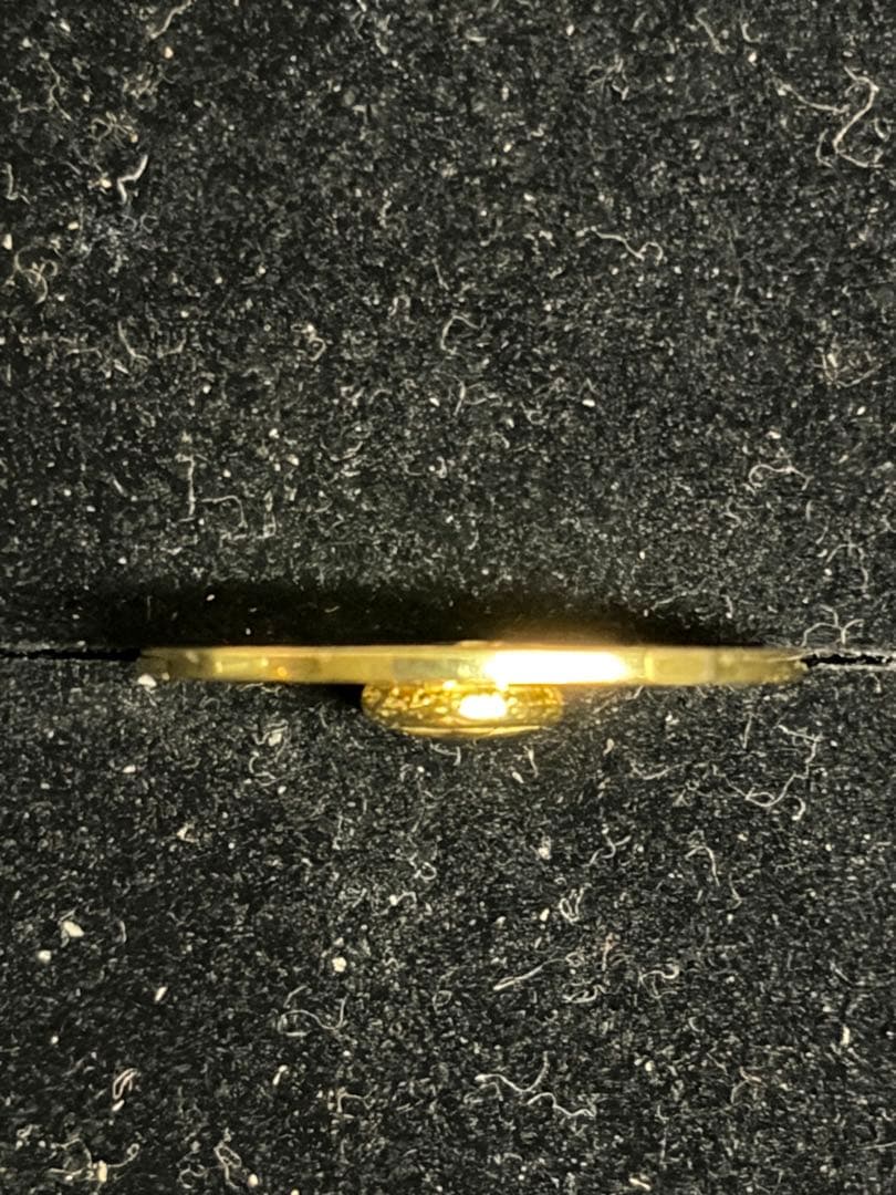 全金イーグルフック＆全金メタル付きホイール