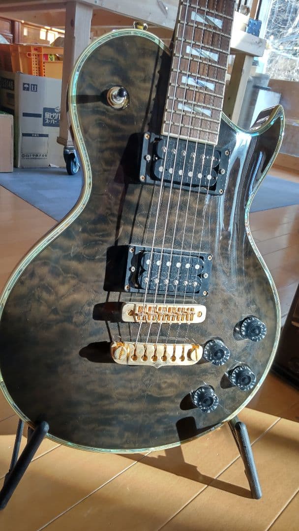 ARIA pe509ニアミント