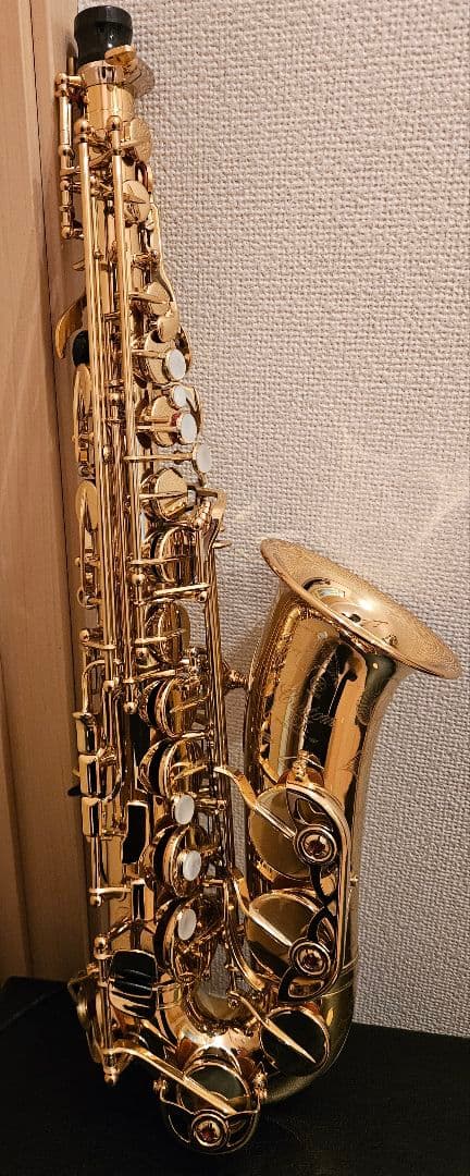 【YAMAHA YAS-875EX】 ヤマハ アルトサックス