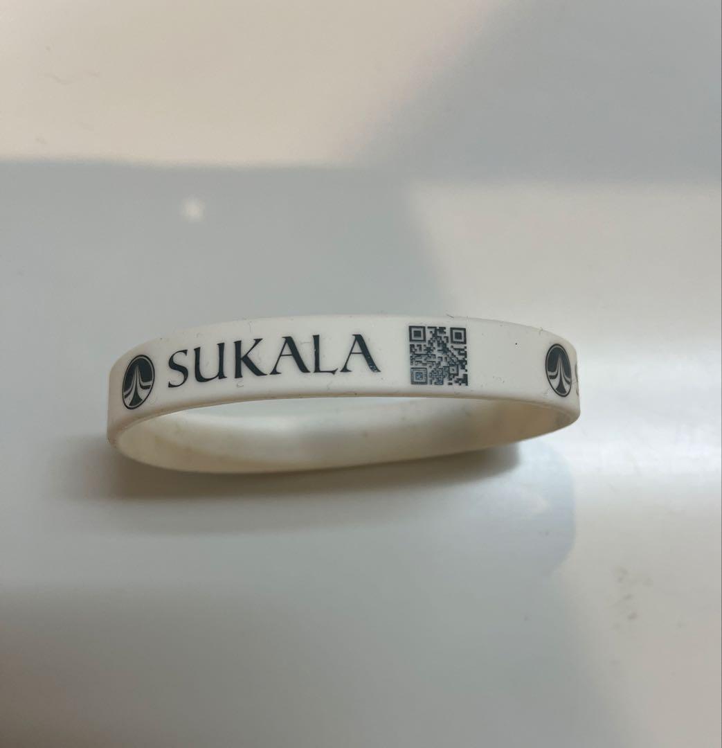 新品未使用【希少レア】SUKALA✖️SIGG ワイドマウスボトル lava水素水