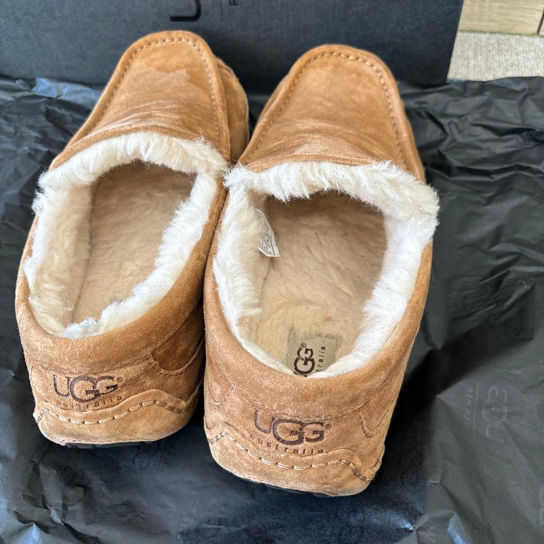 UGG ASCOT スエード シープスキン 5775