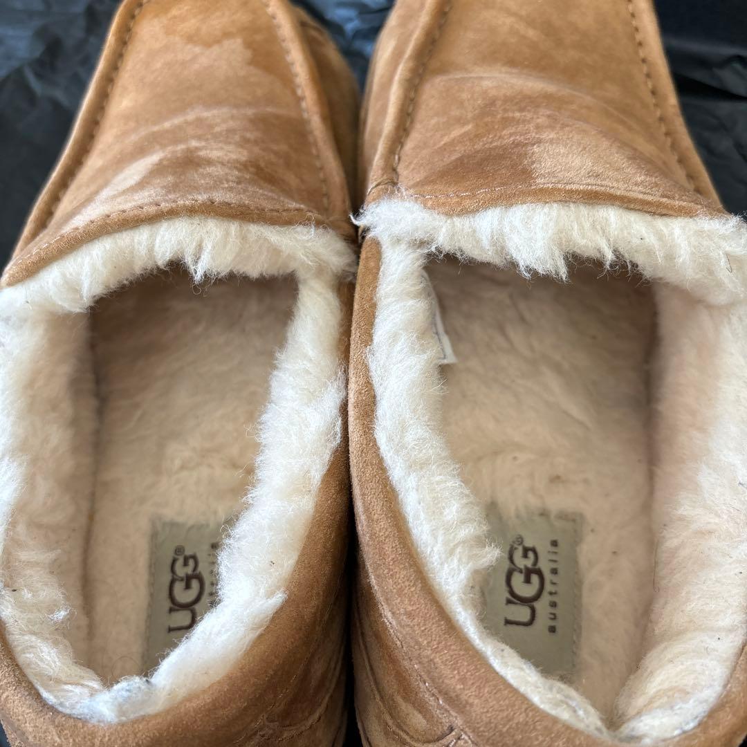 UGG ASCOT スエード シープスキン 5775