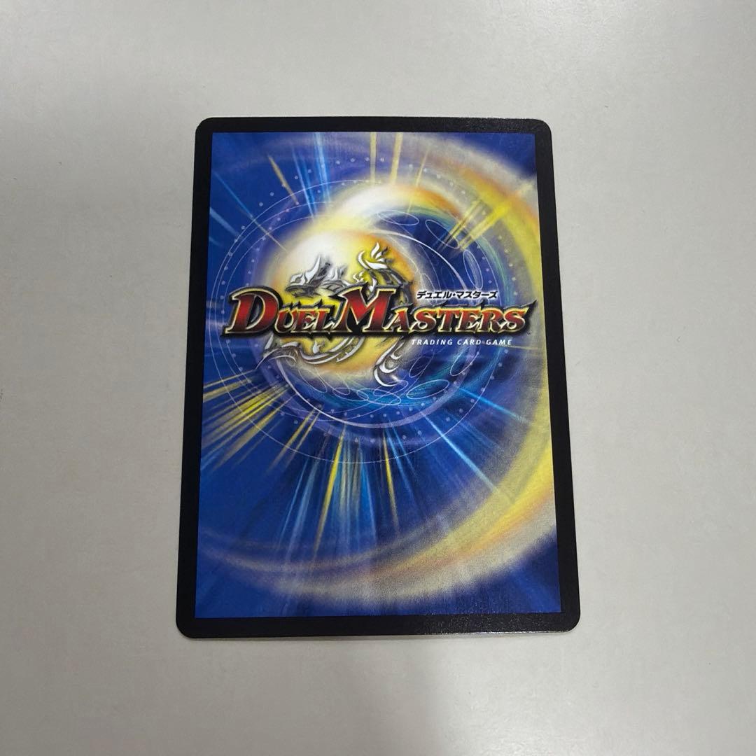 美品 先着即決 水上第九院 シャコガイルa