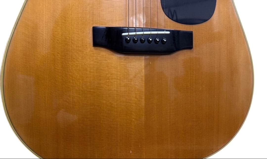 Morris アコースティックギター　W-25