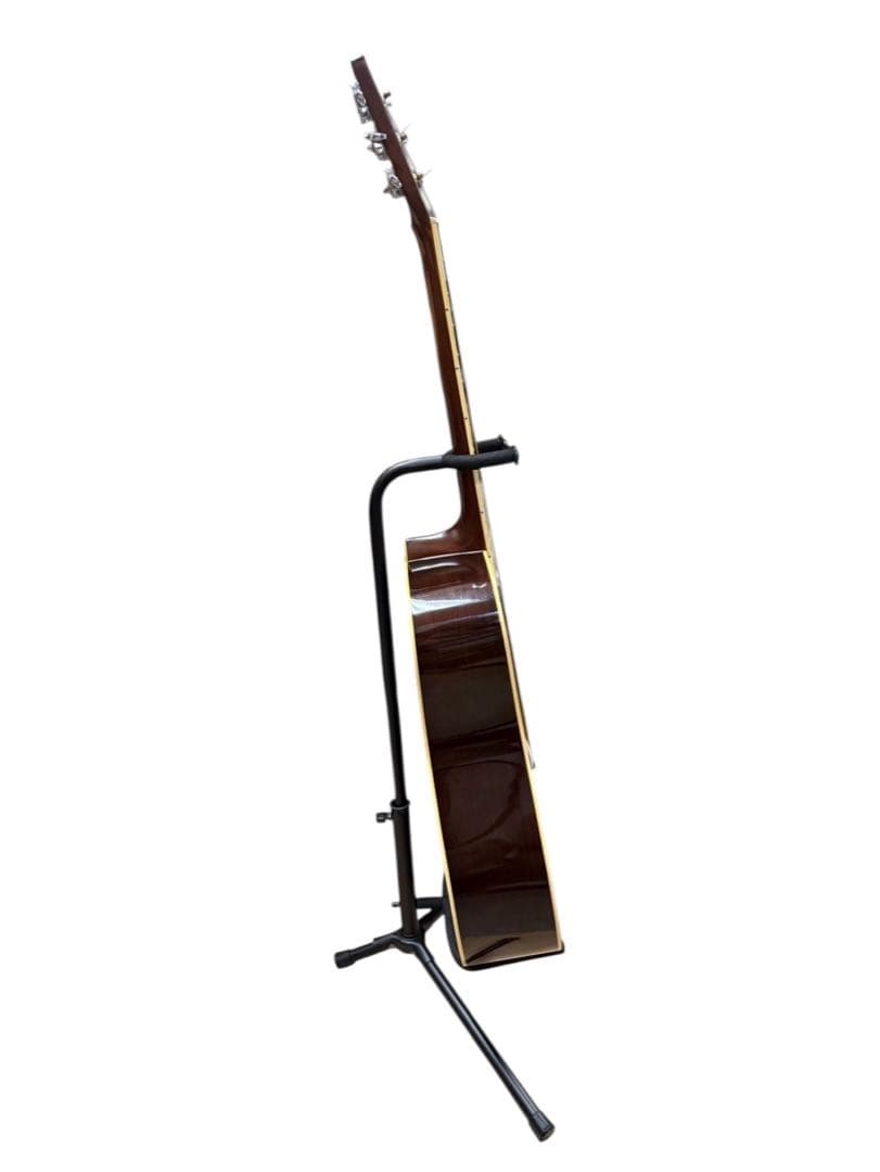 Morris アコースティックギター　W-25