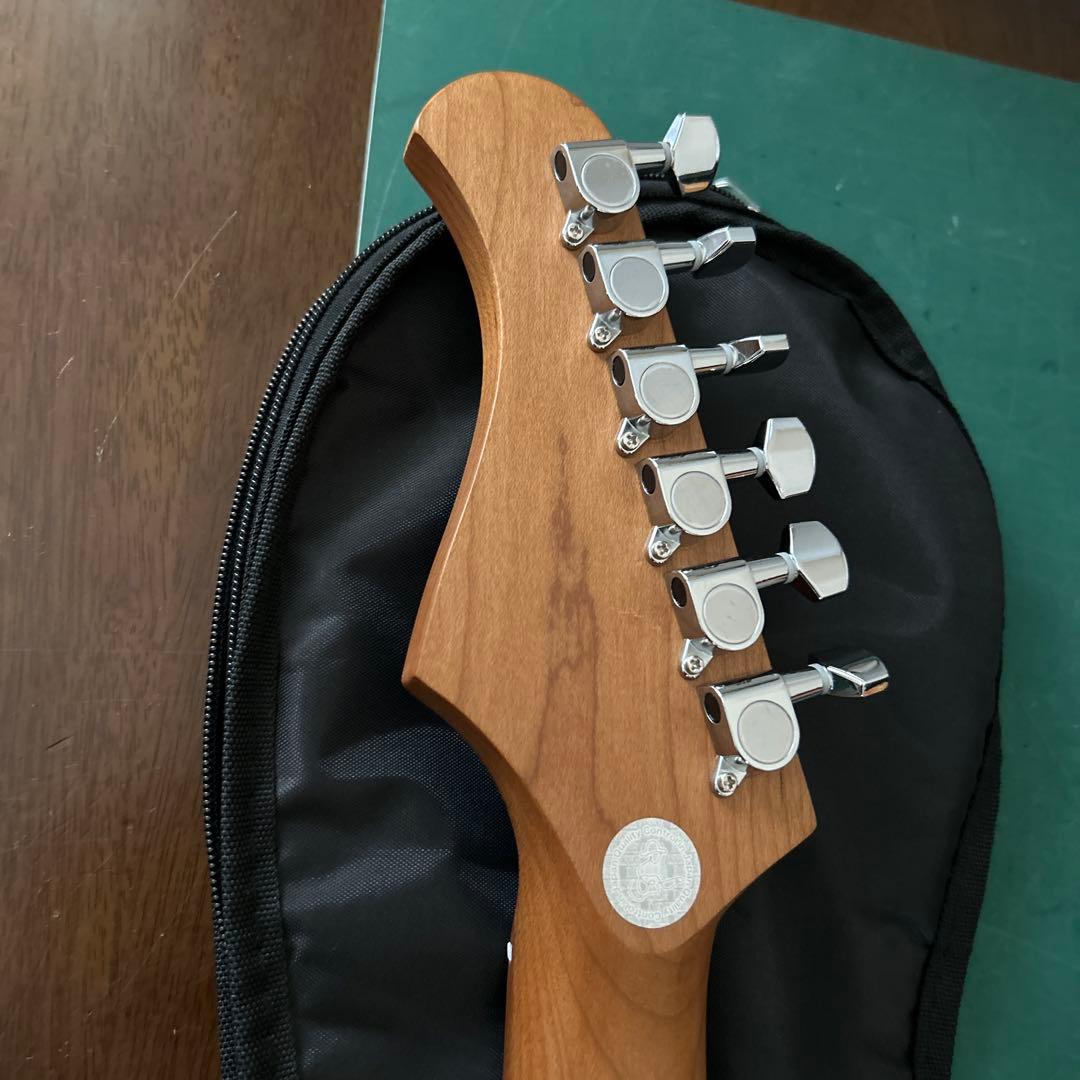 Bacchus GS-2DX RSM/M CS 美品