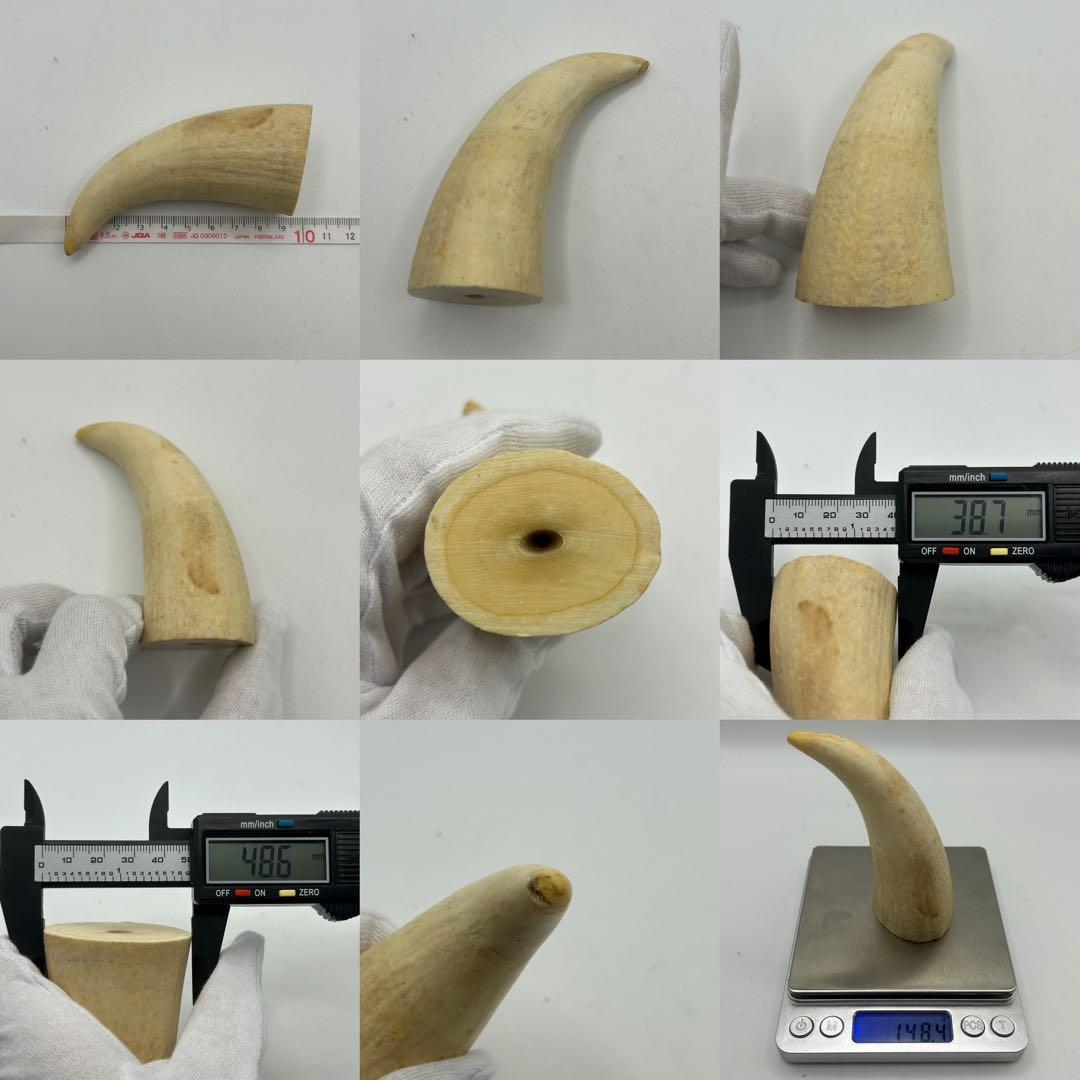 キ*ミ様 鯨の歯 4本 総重量542.6g レア 希少 マッコウクジラ 鯨の牙