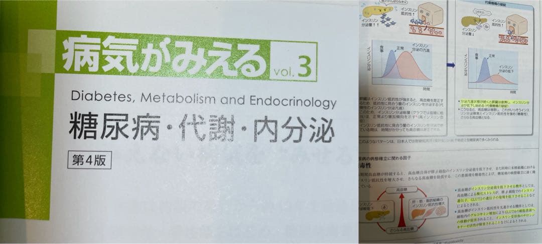 【12冊セット】病気がみえるvol1-11＋公衆衛生がみえる