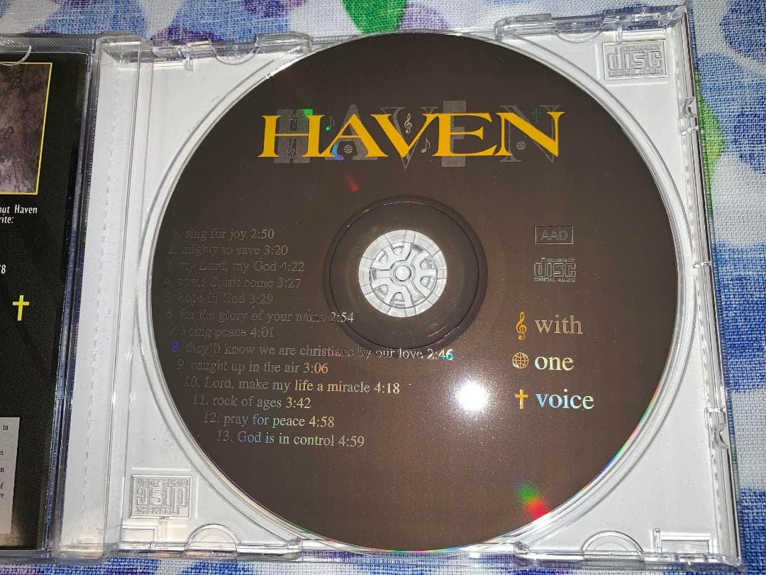 洋楽 HAVEN