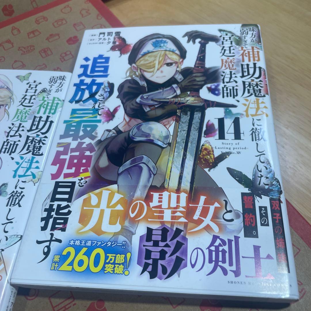 味方が弱すぎて補助魔法に徹していた宮廷魔法師、追放されて最強を目指す1〜14
