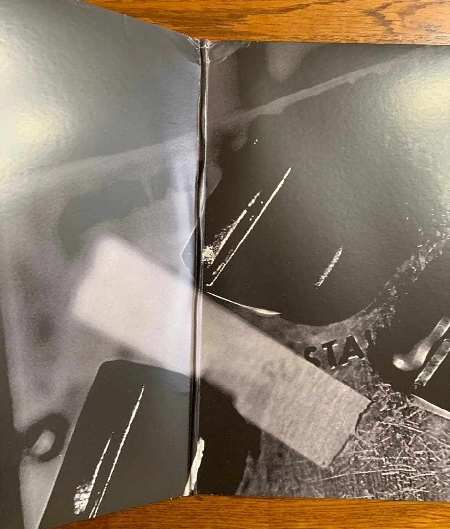 《 US盤 》 DIR EN GREY / UROBOROS レコード