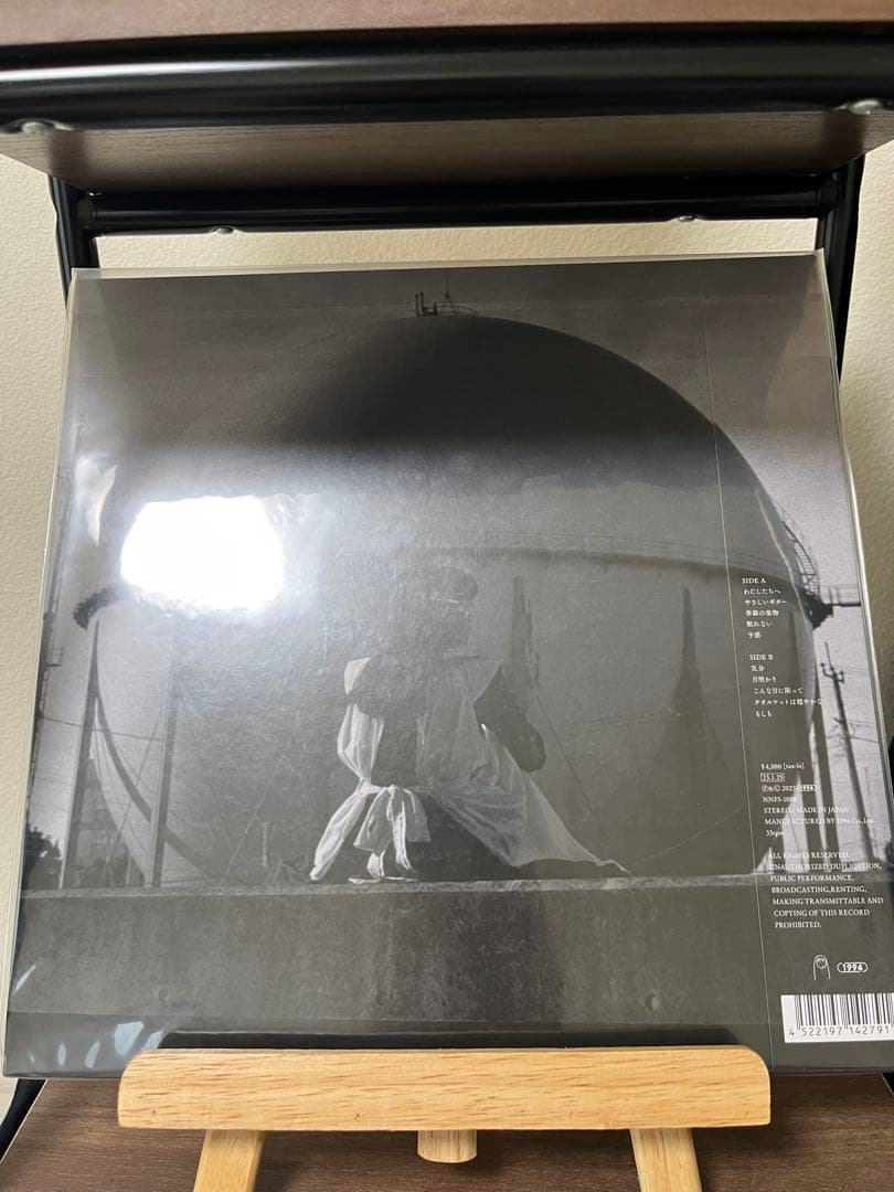 タオルケットは穏やかな　　 カネコアヤノ / Kaneko Ayano
