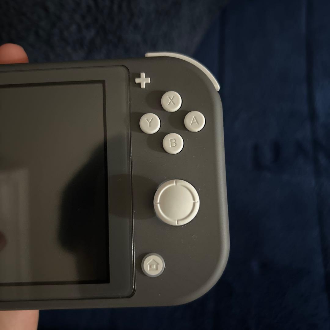 と*や様 Nintendo Switch Lite グレー