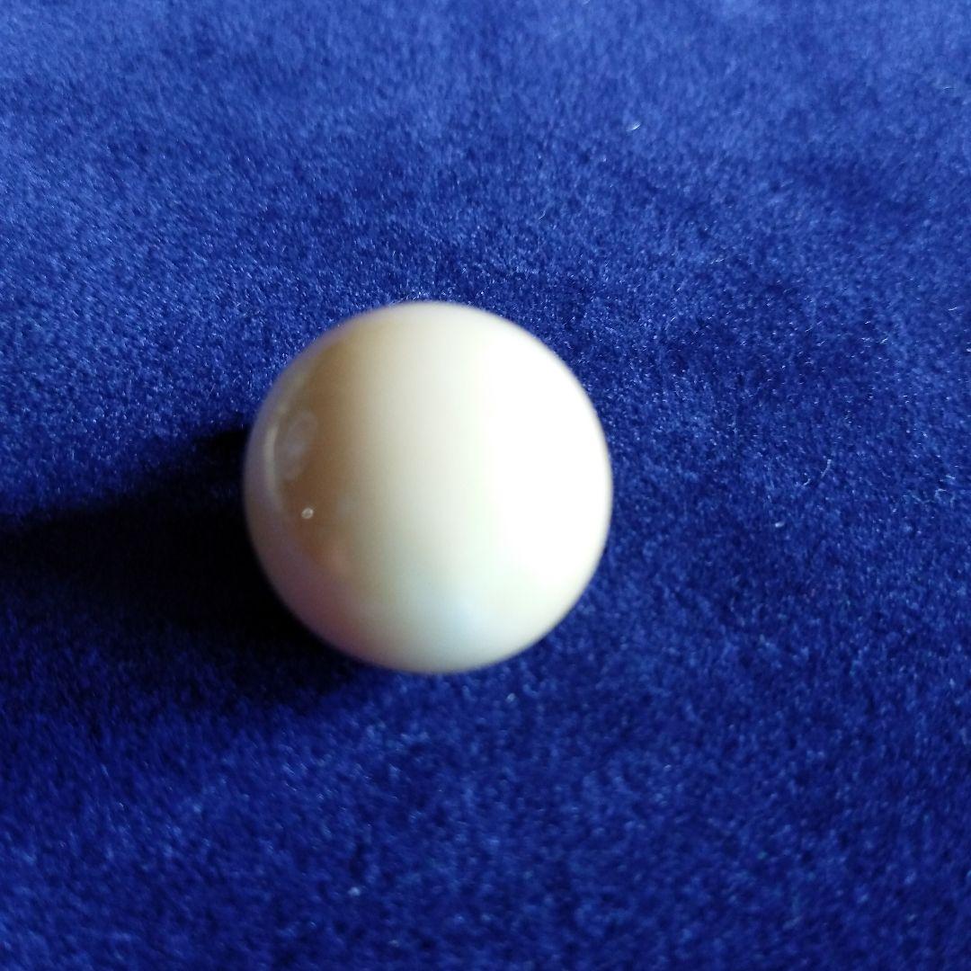 鯨歯　マッコウクジラ　牙玉　約16.5㎜