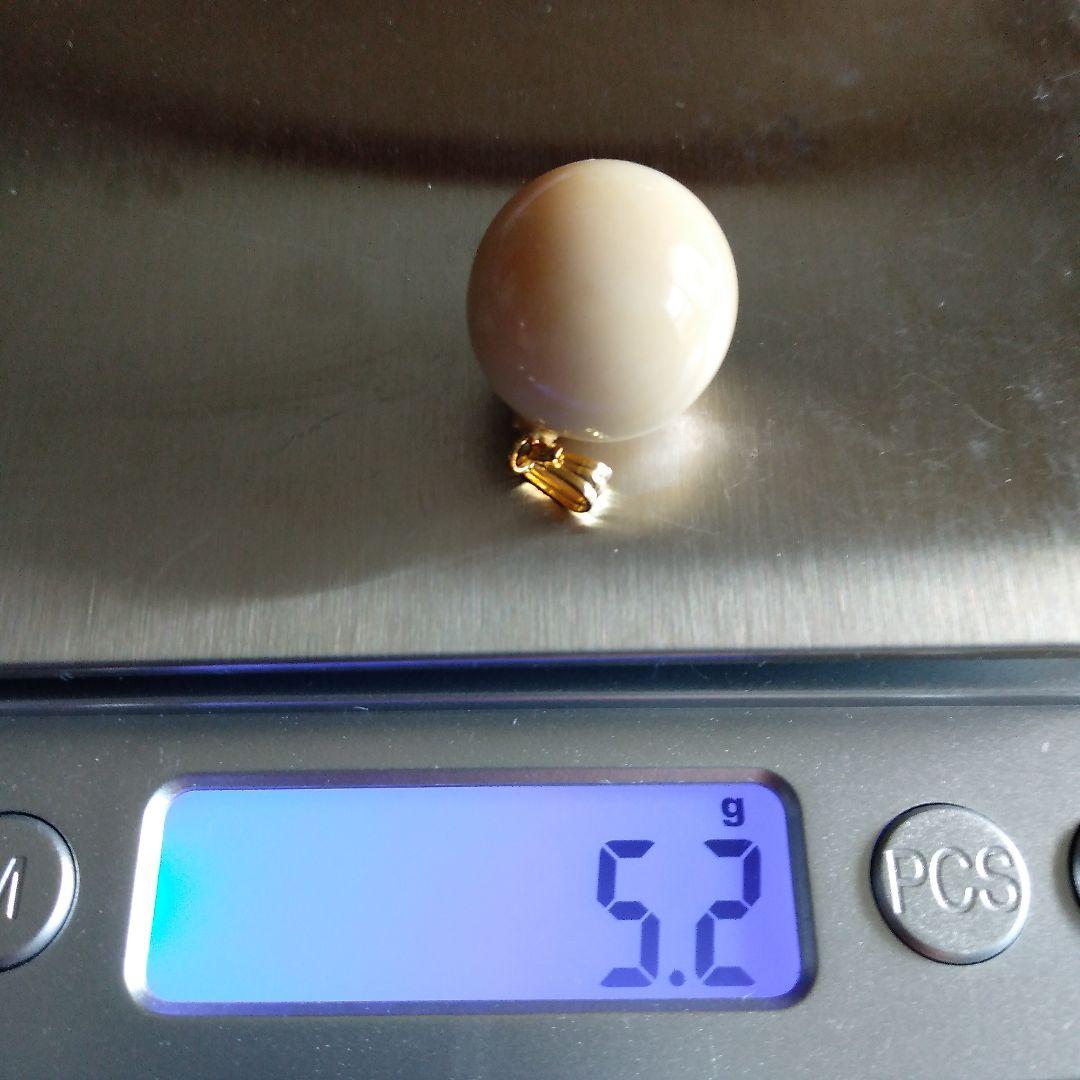 鯨歯　マッコウクジラ　牙玉　約16.5㎜