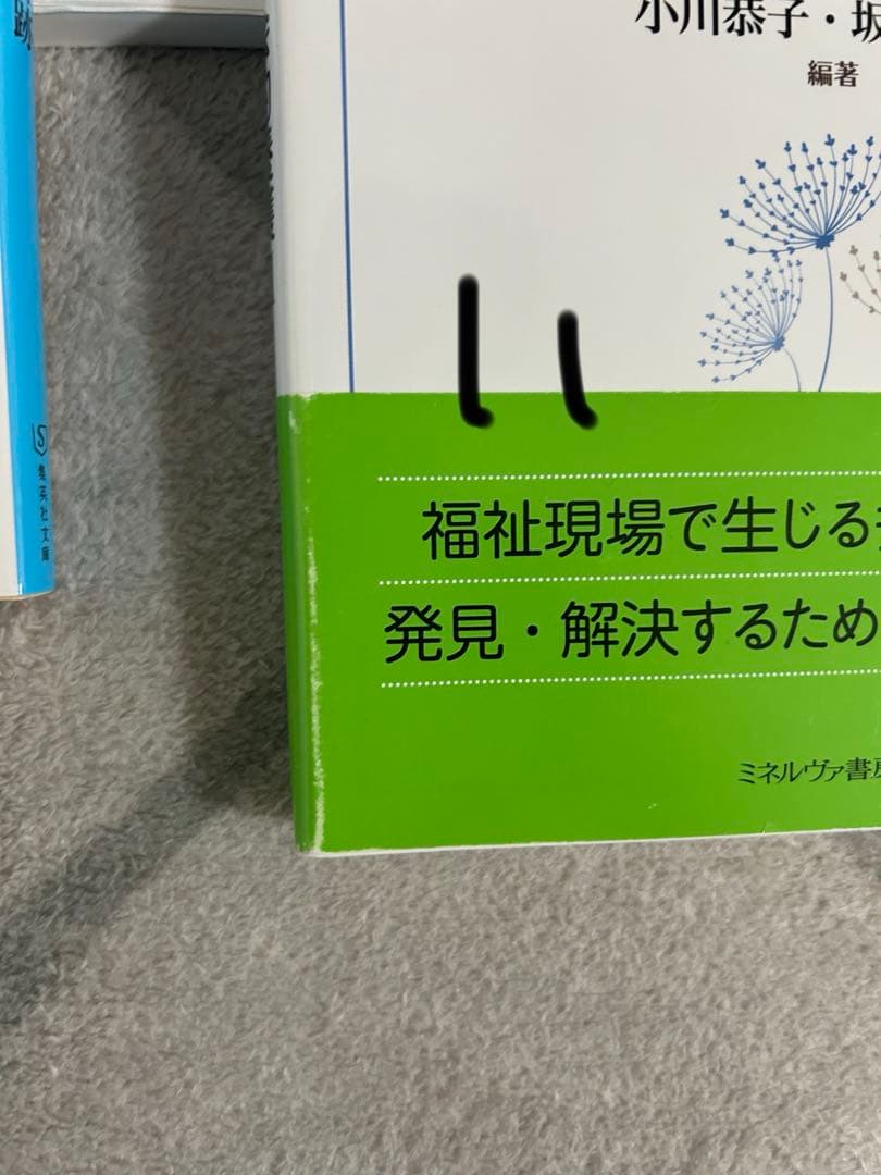 保育・幼稚園課程 教科書 24冊 バラ売り可