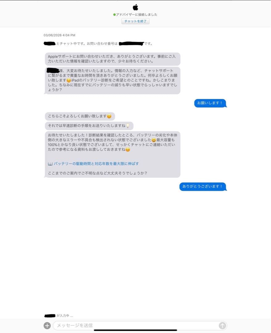 容量100% Apple iPad Pro 12.9インチ 256GB