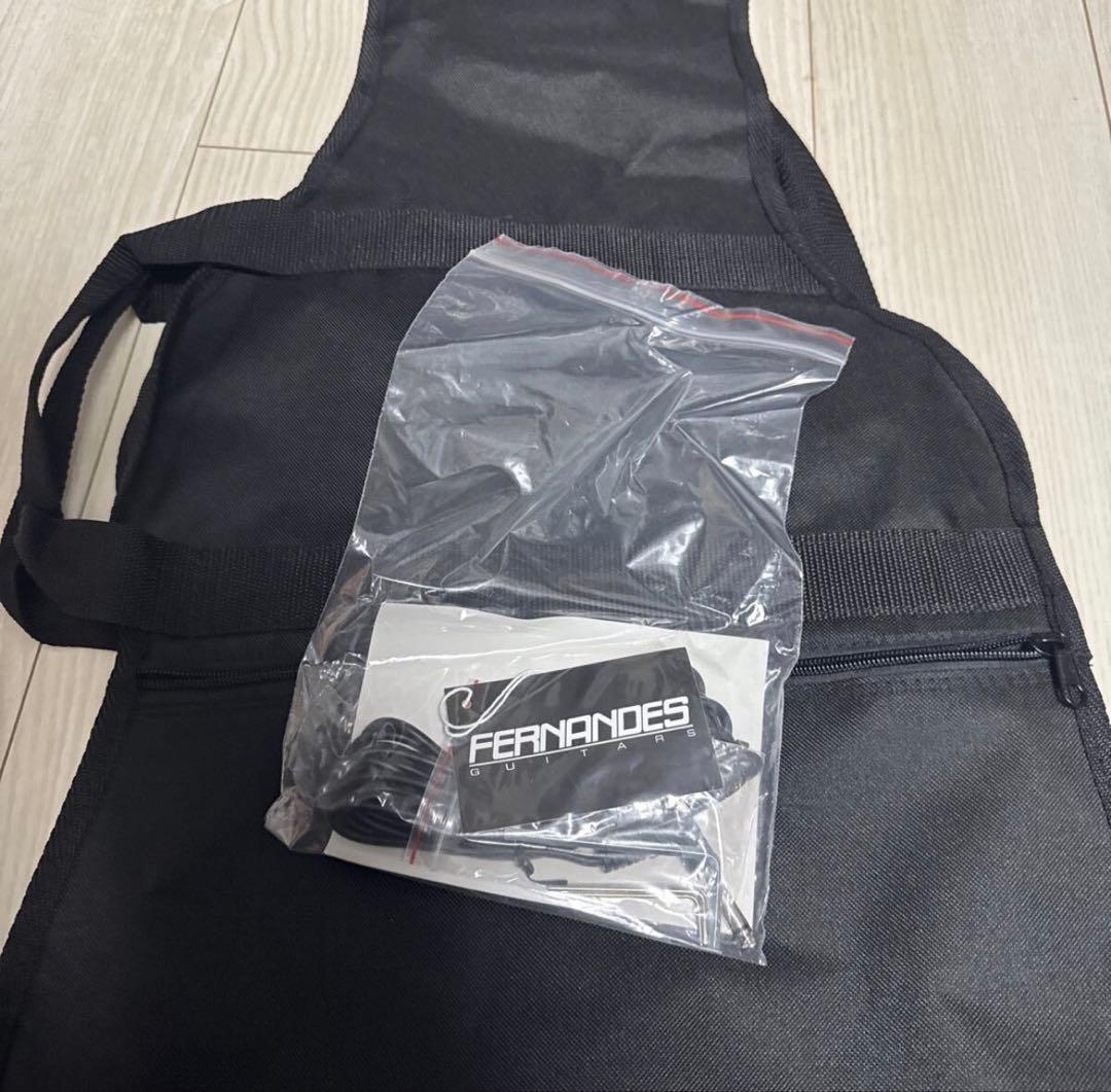 美品 FERNANDES TEJ STD 2S ’24 EMG SA