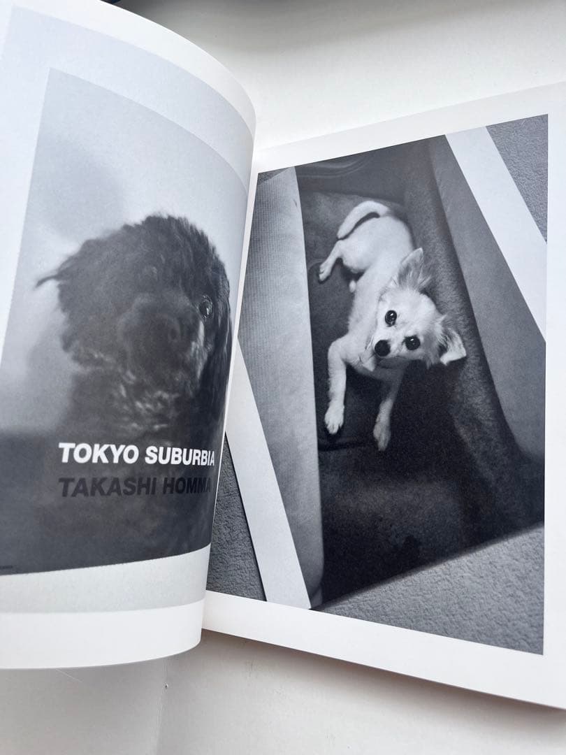 ホンマタカシ RE-CONSTRACTION 再構築　takashi homma