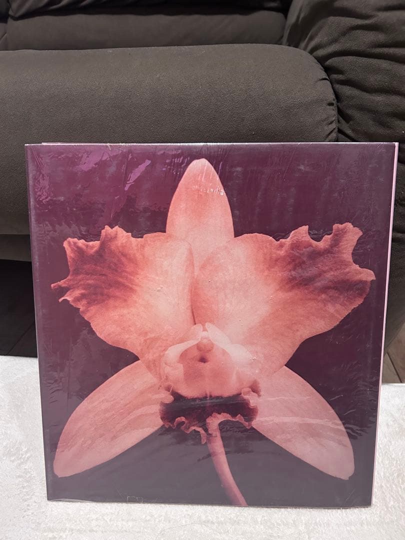 Pistils Robert Mapplethorpe 写真集