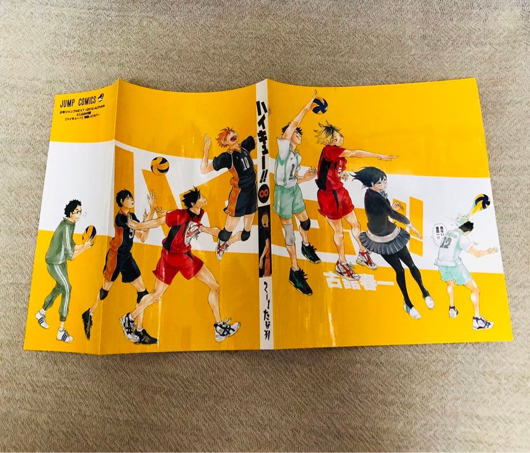 ハイキュー　切り抜き&付録セット