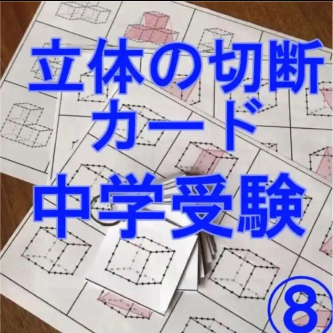 ゆゆ　立体の切断模型 ①②③④⑤⑥⑦⑧⑨⑩セット